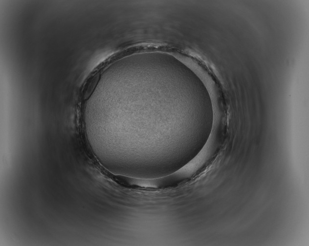 X0000088161352200705221552