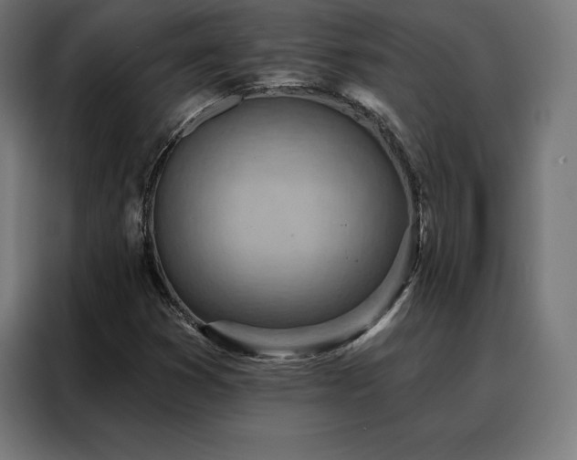 X0000088161353200705221552