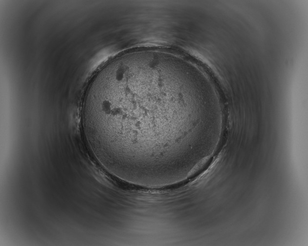 X0000088161355200705221552