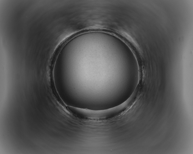 X0000088161356200705221552