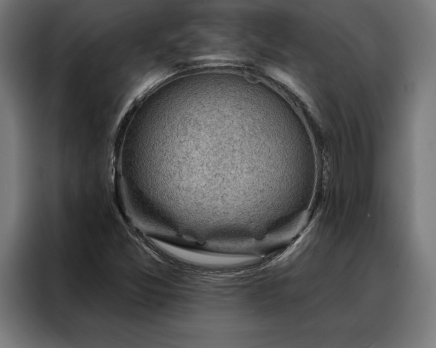 X0000088161357200705221552