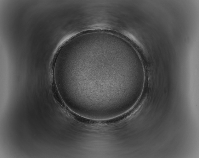 X0000088161358200705221552