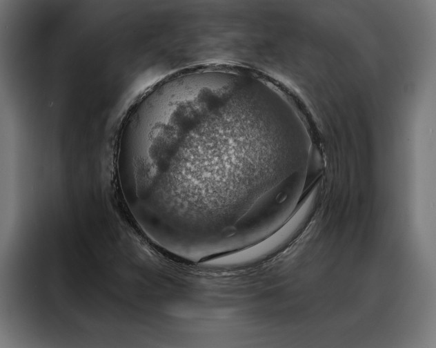 X0000088161359200705221552