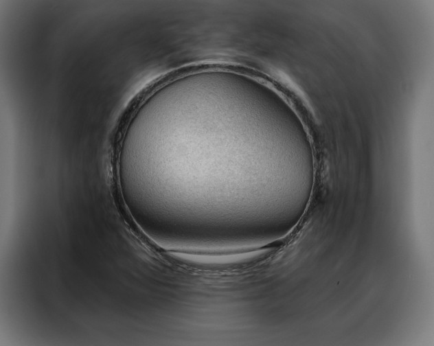 X0000088161360200705221552