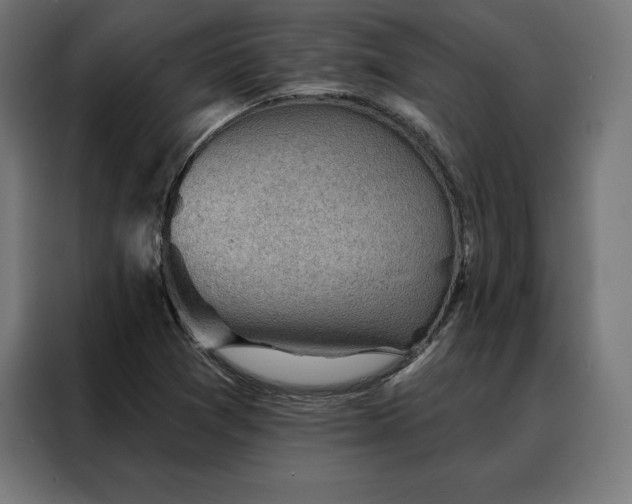 X0000088161361200705221552