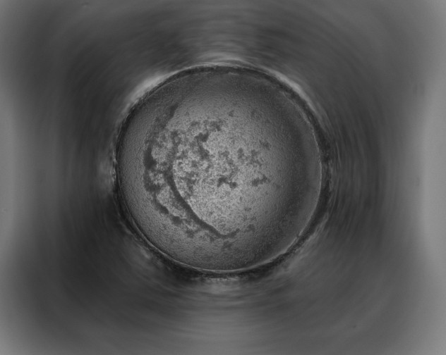 X0000088161363200705221552