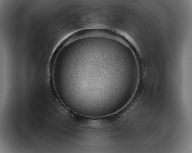 X0000088161364200705221552
