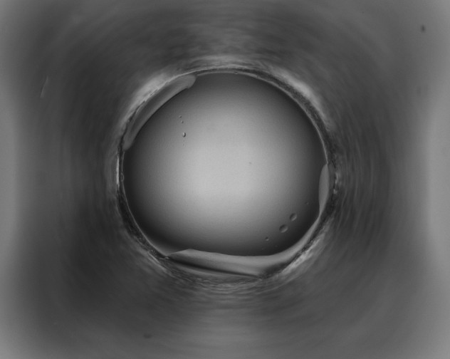 X0000088161365200705221552