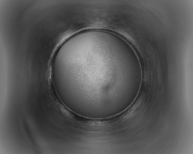 X0000088161366200705221552