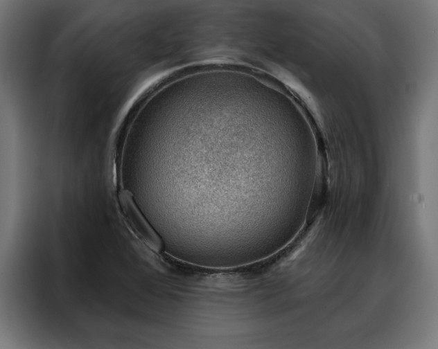 X0000088161368200705221552