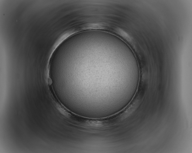 X0000088161370200705221552