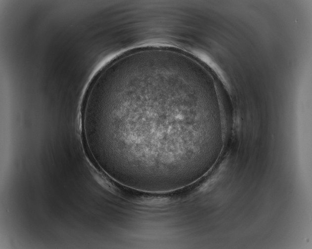 X0000088161372200705221552
