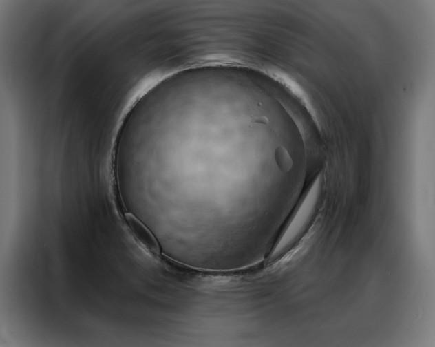 X0000088161373200705221552