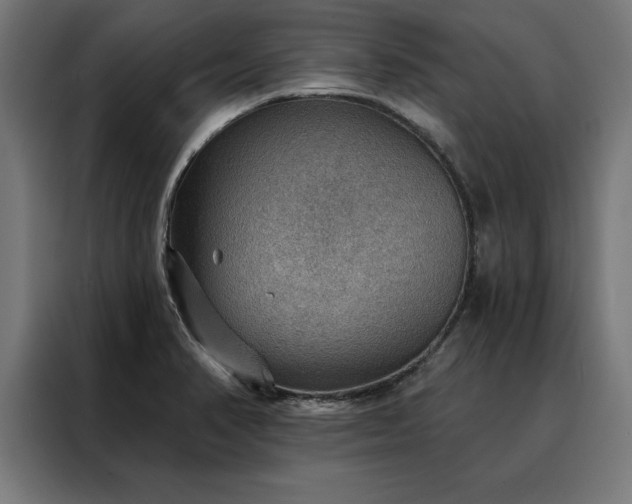 X0000088161374200705221552