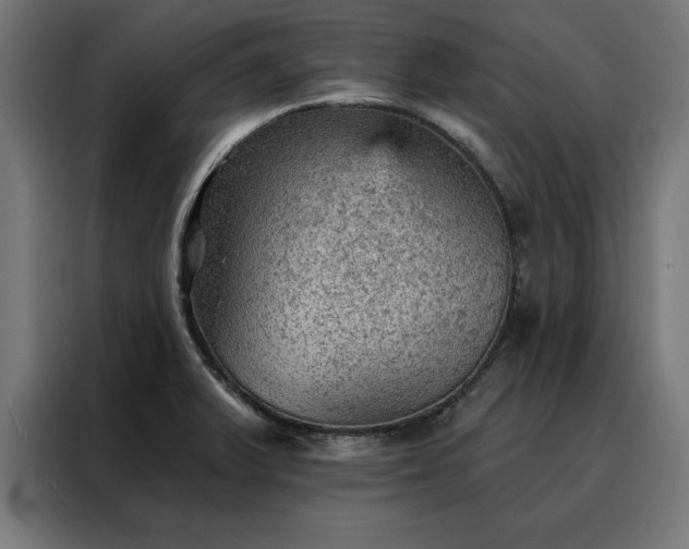 X0000088161375200705221552