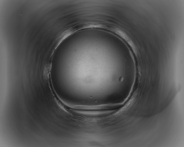 X0000088161377200705221552