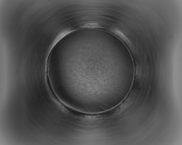 X0000088161378200705221552