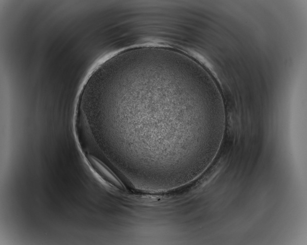 X0000088161379200705221552
