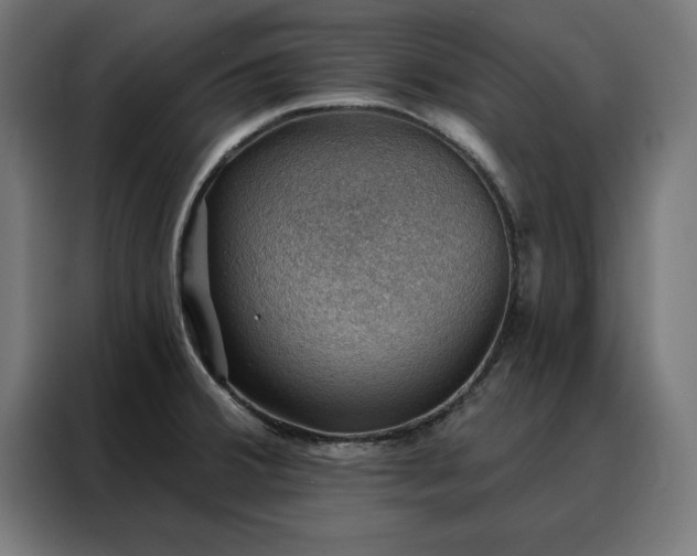 X0000088161380200705221552