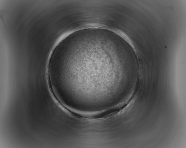 X0000088161381200705221552