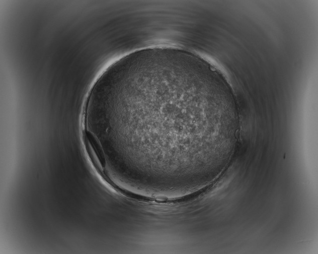 X0000088161383200705221552