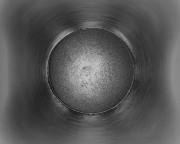 X0000088161386200705221552