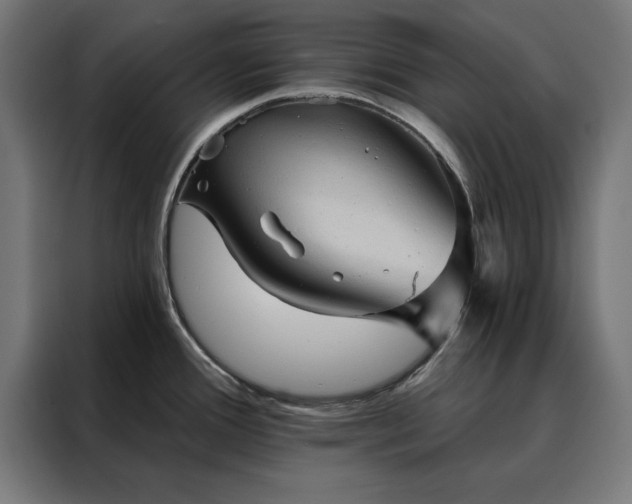 X0000088161388200705221552
