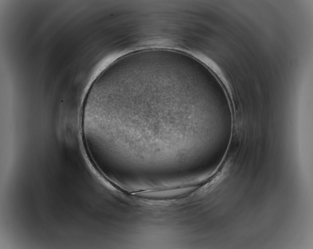 X0000088161389200705221552
