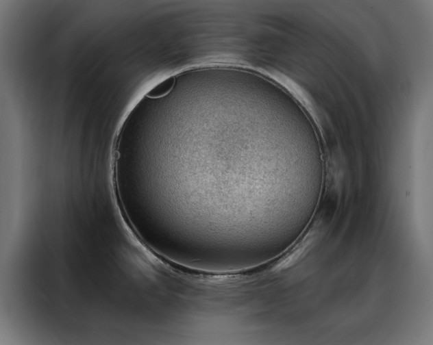 X0000088161390200705221552