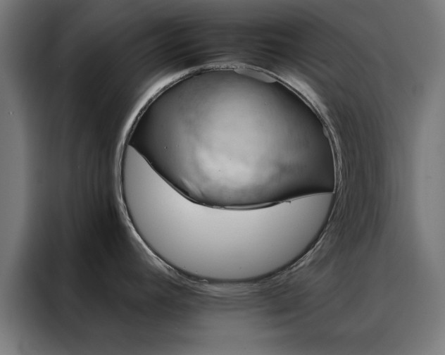 X0000088161392200705221552