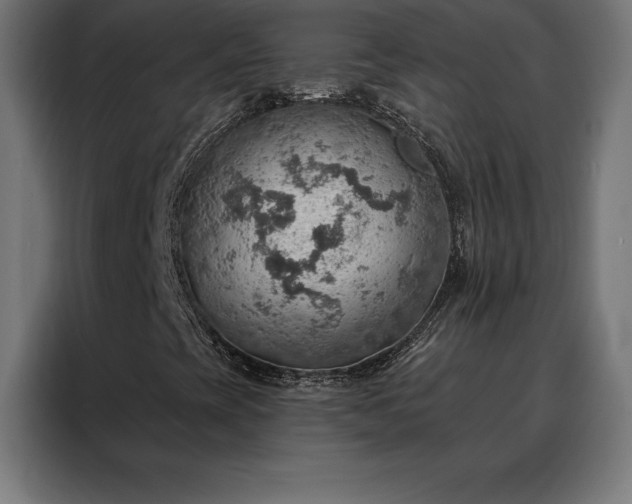 X0000088161393200705221551