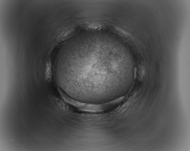 X0000088161394200705221551