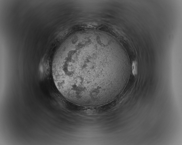 X0000088161395200705221551