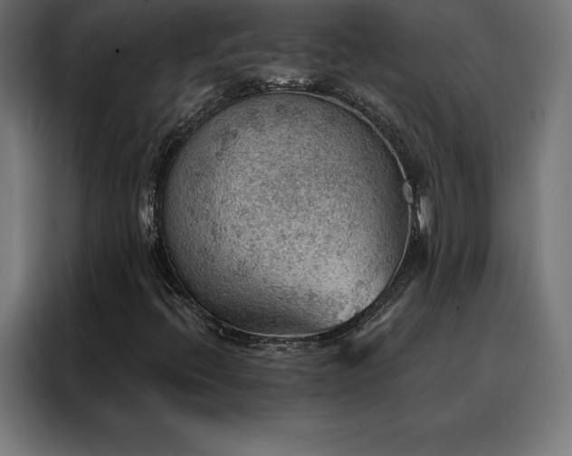 X0000088161396200705221551