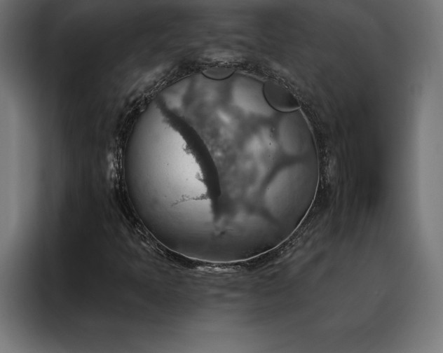 X0000088161397200705221551