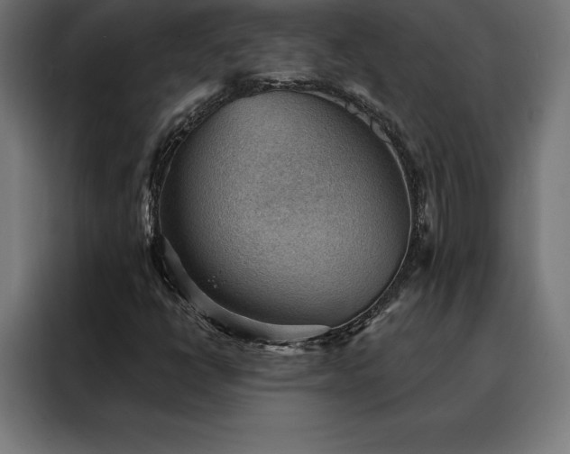 X0000088161398200705221551