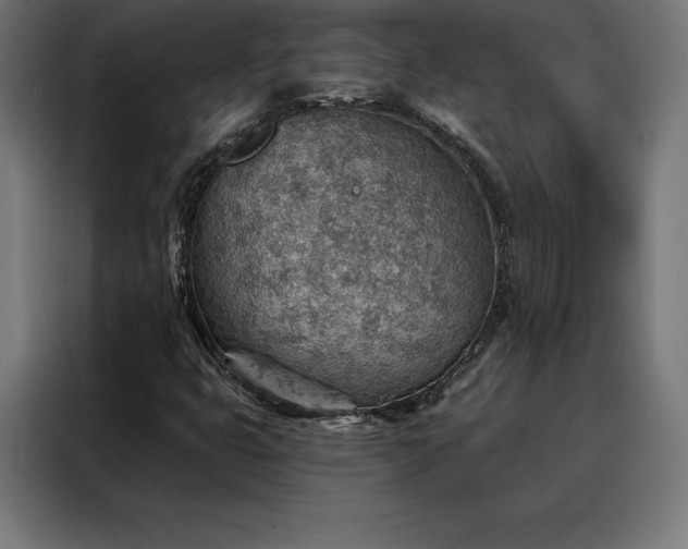 X0000088161399200705221551