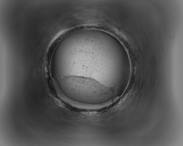 X0000088161400200705221551
