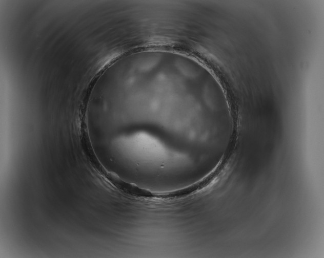 X0000088161401200705221551