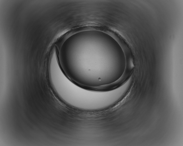 X0000088161402200705221551