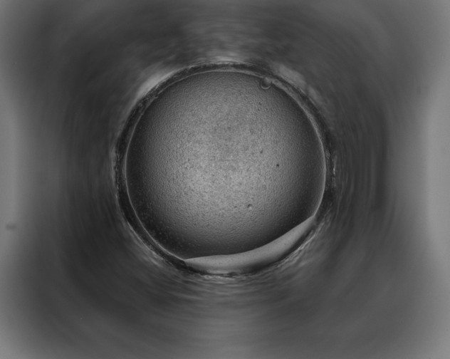 X0000088161404200705221551
