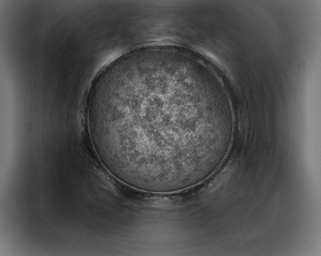X0000088161405200705221551