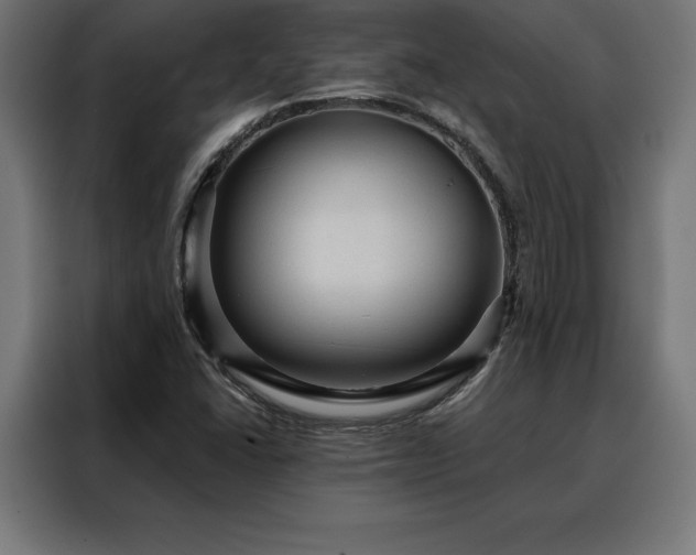 X0000088161406200705221551