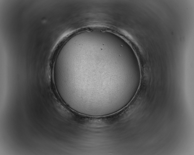X0000088161408200705221551