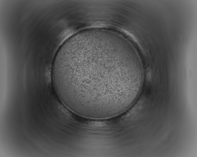 X0000088161409200705221551