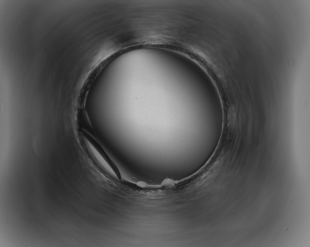 X0000088161410200705221551