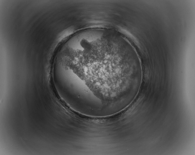 X0000088161411200705221551