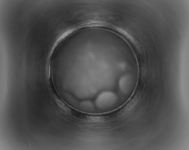 X0000088161413200705221551