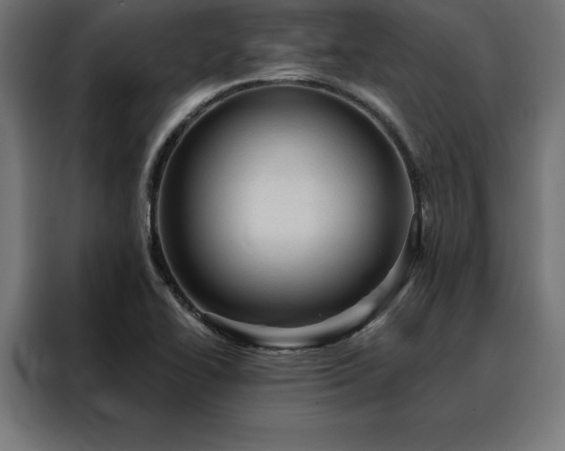 X0000088161414200705221551