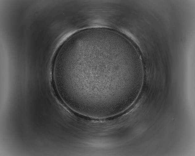 X0000088161415200705221551